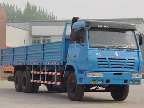 STEYR 6×4 Cargo Truck